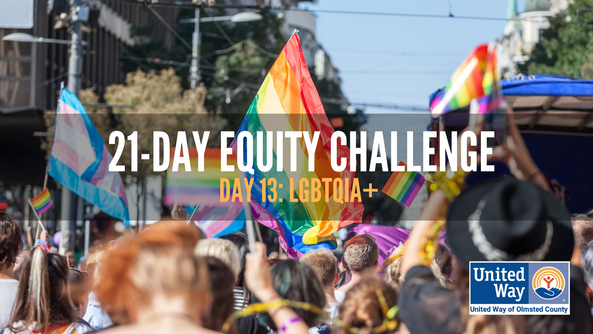 Day 13: LGBTQIA+