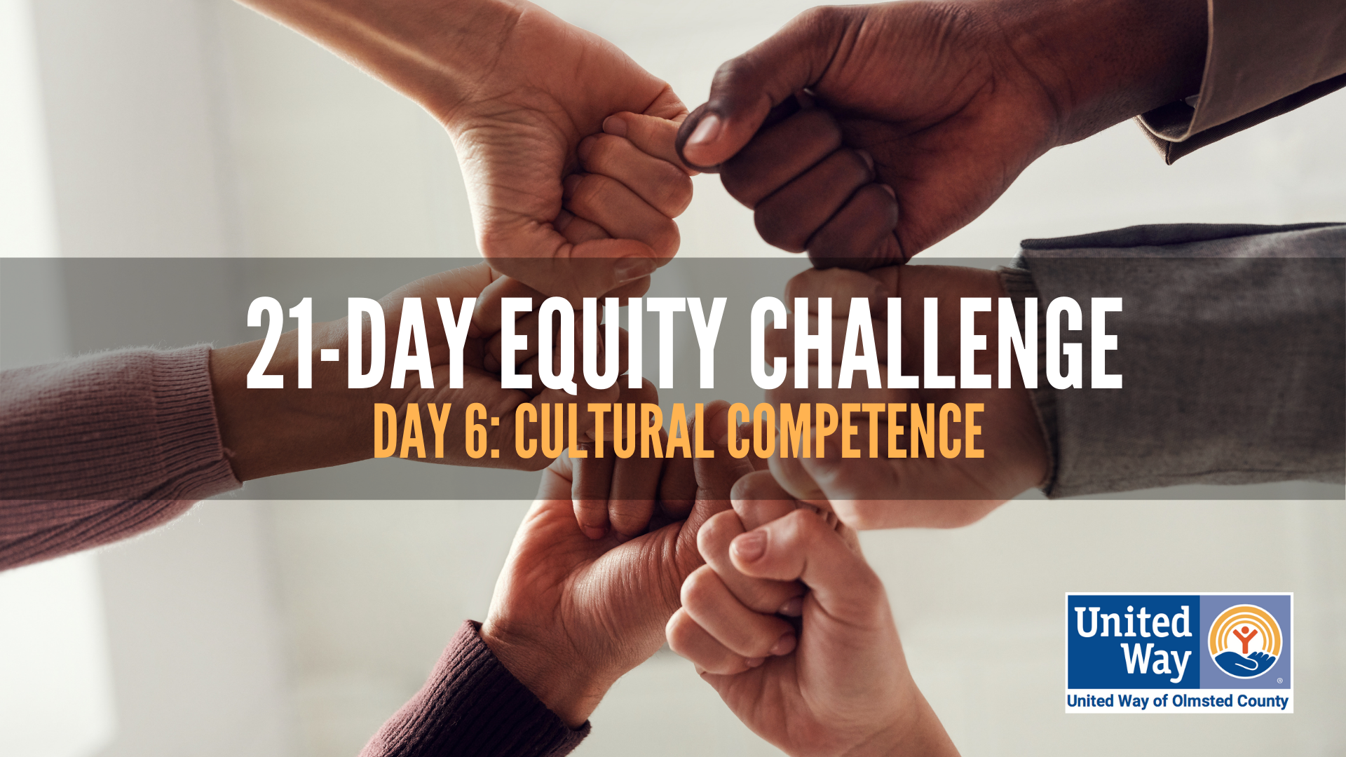 Day 6: Cultural Competence